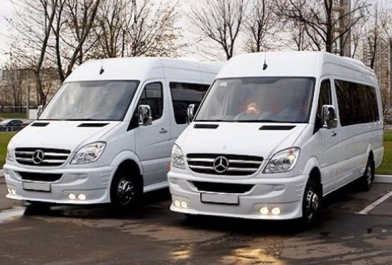 Заказ микроавтобуса для перевозки людей из Санкт-Петербург в Лебедянь